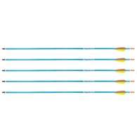 Strzały aluminiowe 30  BLUE Poe Lang - zestaw 5 sztuk
